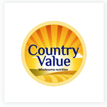 CountryValue-Logo
