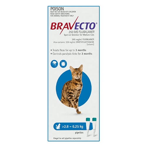 BRAVECTO SPOT CAT DE 2,8 A 6,2 KG