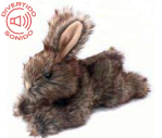 Juguete Conejo Con Sonido 18036-1