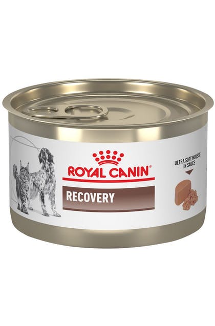 ROYAL CANIN LATA RECOVERY 145GR (AGOTADO)