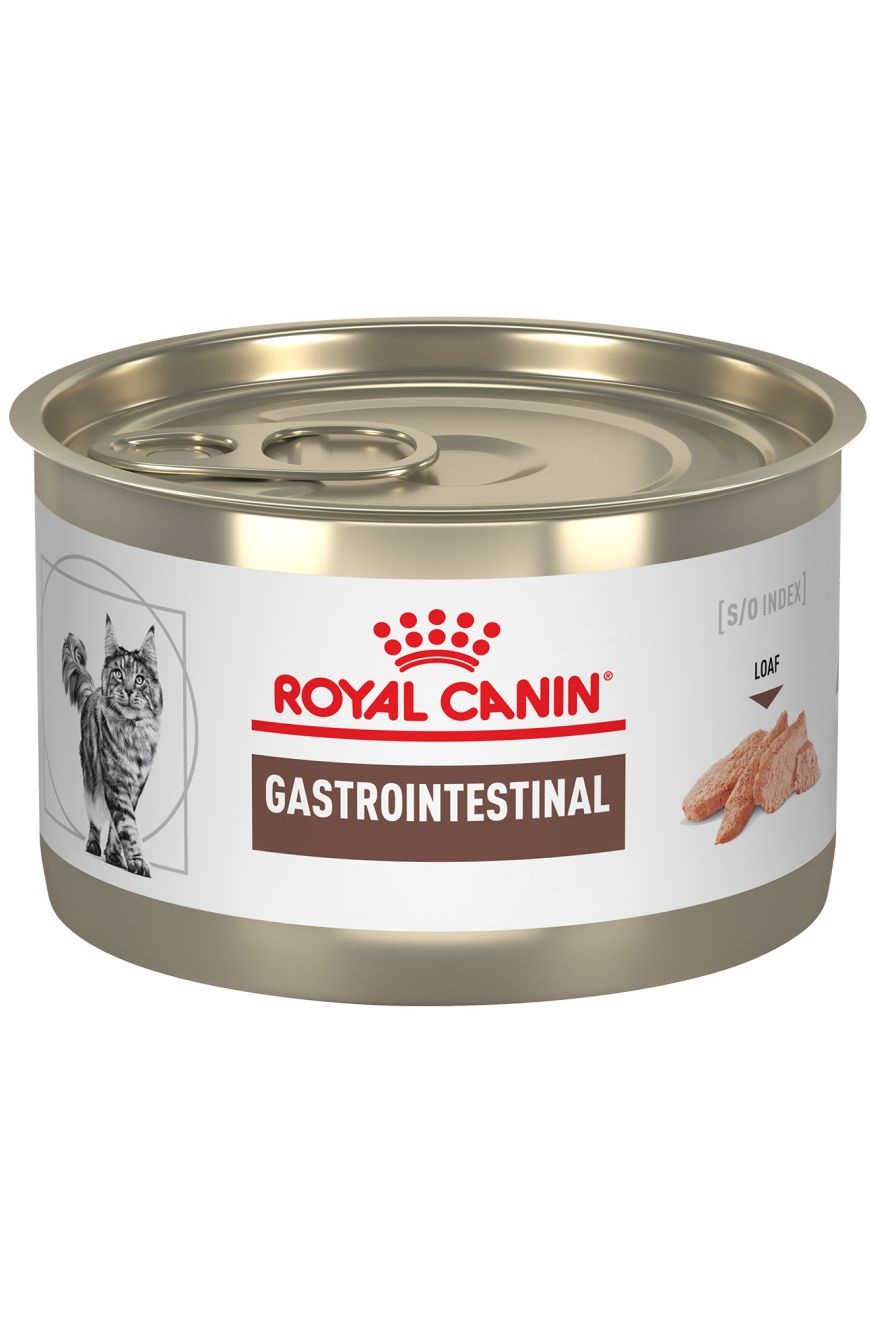 ROYAL CANIN LATA GASTRO INTESTINAL CAT 0,145KG