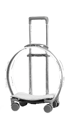 MALETA DE RUEDAS TRANSPARENTE PB82B NEGRO