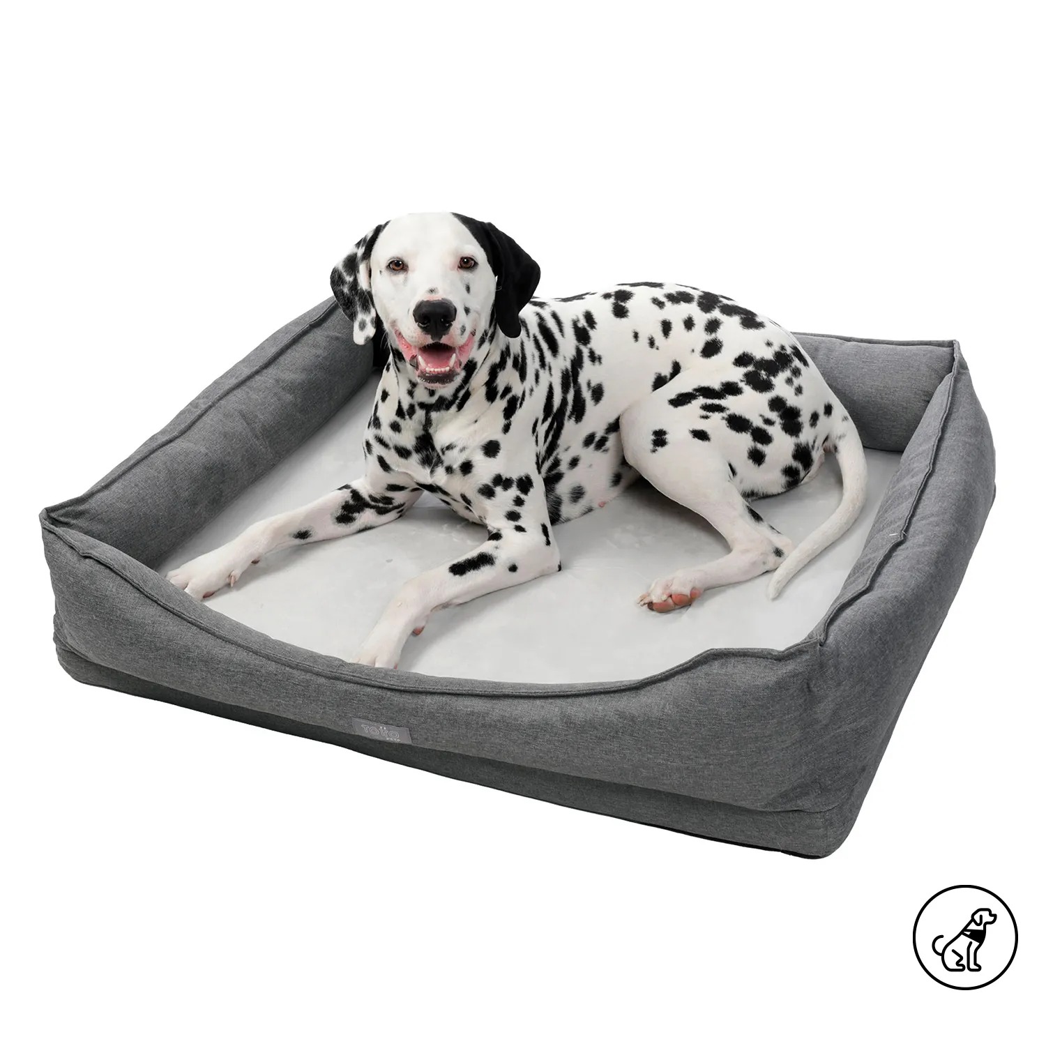 CAMA DANTE PDCBCA1020-241-G10 TALLA L