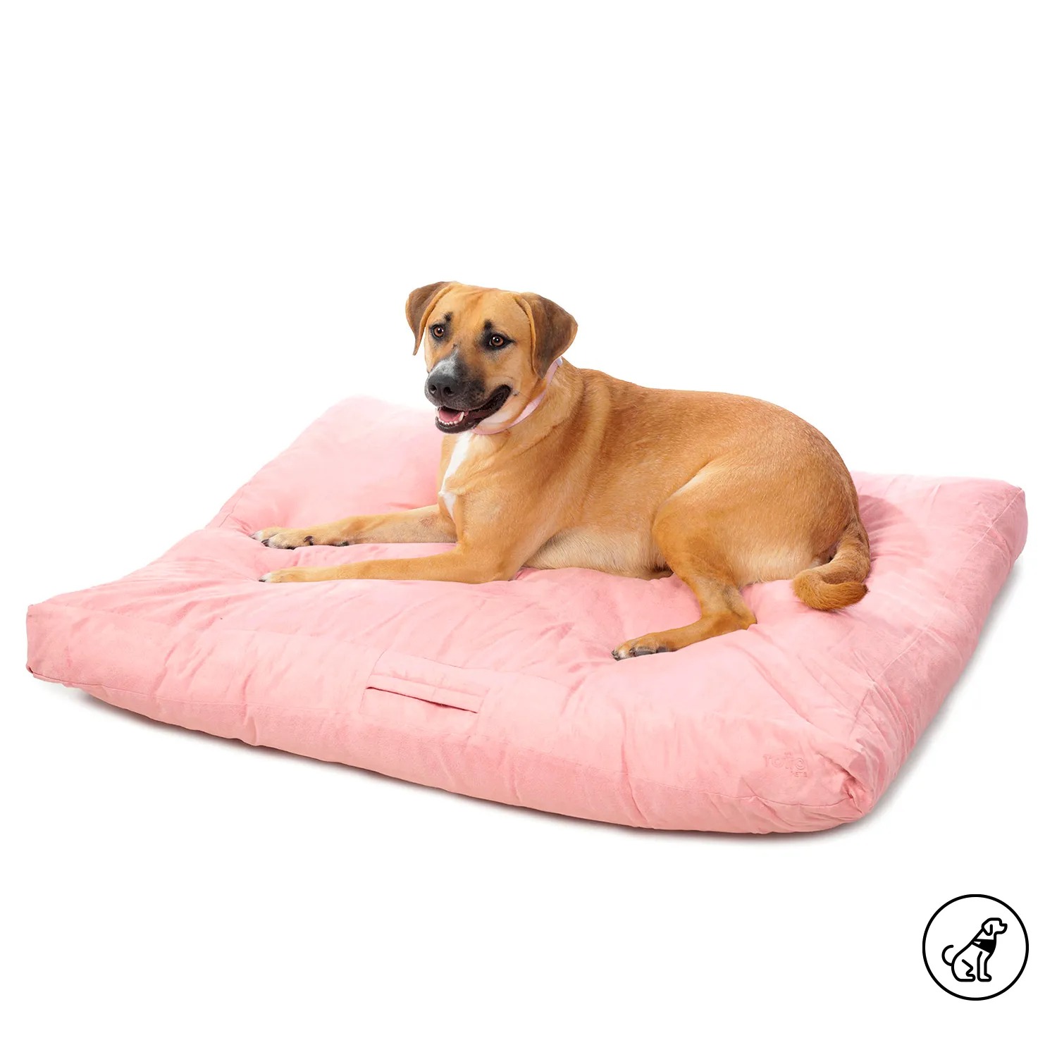 CAMA ZEUS PDCBCA1022-241-P56 TALLA L